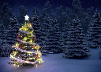 Algunas curiosidades de la Navidad