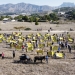 Vecinos piden que el Medio Vinalopó no se llene de plantas solares