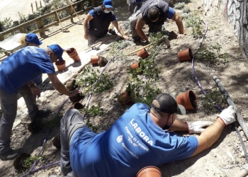 Una segunda oportunidad para los ilicitanos que lo necesitan