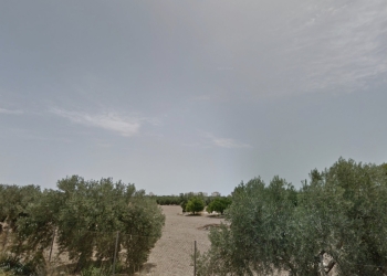 En lucha por un desarrollo ecológico