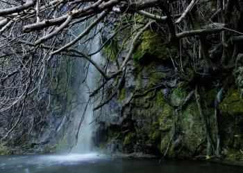 Dinamarca, Italia, Hungría, Eslovaquia y Países Bajos replican el proyecto Rutas Azules de la Diputación