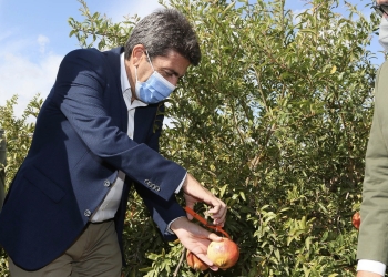 La Diputación incrementa un 40% el presupuesto del área de Desarrollo Económico para hacer frente al COVID