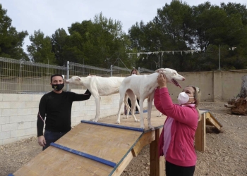 La Nucía renueva el convenio con la Protectora de Animales