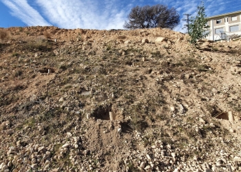 Alcoy mejora la masa forestal del municipio