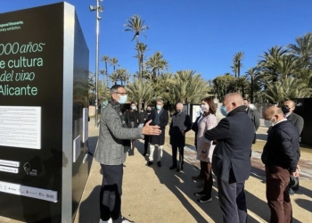 Elche acoge una exposición de los 3.000 años de historia del vino alicantino
