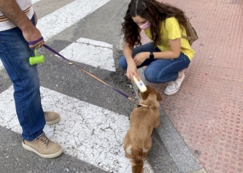 Alcoy cerró 2021 con 40 expedientes por incumplimientos en la ordenanza de convivencia con animales