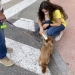 Alcoy cerró 2021 con 40 expedientes por incumplimientos en la ordenanza de convivencia con animales