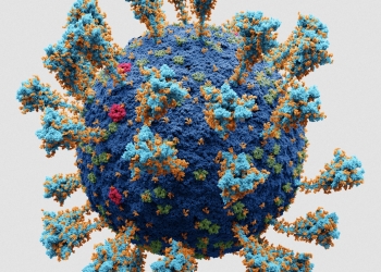 Descubren más de cien mil virus desconocidos