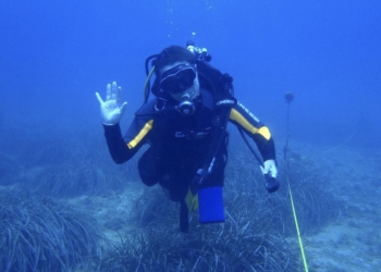 «Cada vez son más las científicas del mar»
