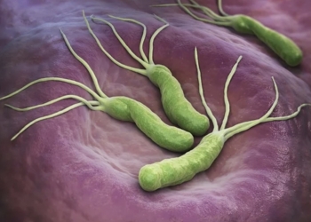 Helicobacter Pylori en niños