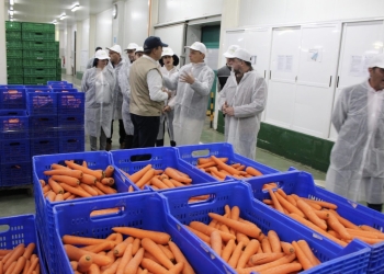 Agrícola Villena consigue escapar de la pesadilla económica