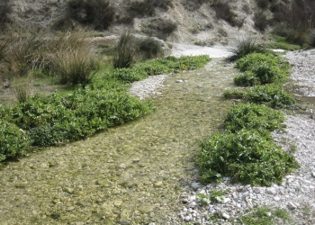 Noches de frío y aceite