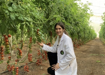 «Las mujeres somos el 30% en el campo de la investigación científica mundial»