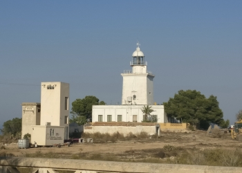 Veterano guardián de sierra y costa