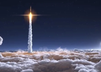 Las ardillas tienen la clave para los viajes espaciales