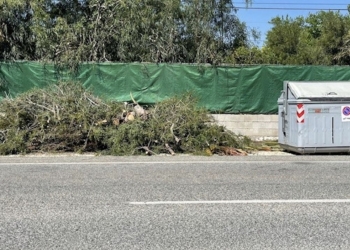 La Policía Local aumenta la presión contra los vertidos ilegales