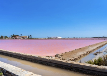 Tu plan del finde: Los humedales del sur de Alicante