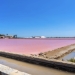 Tu plan del finde: Los humedales del sur de Alicante
