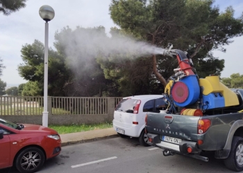 Santa Pola continúa con la fumigación y la técnica de la endoterapia para evitar la procesionaria en los pinos