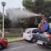Santa Pola continúa con la fumigación y la técnica de la endoterapia para evitar la procesionaria en los pinos