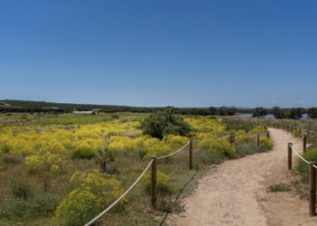 Tu plan del finde: Lagunas de La Mata y Torrevieja