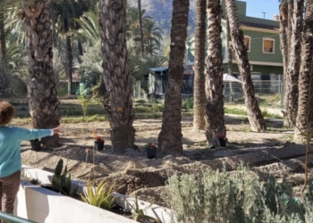 El C.E.E. Antonio Sequeros de Orihuela amplia su huerto escolar