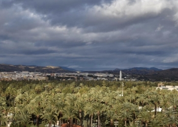 Los fondos de la Generalitat para el mantenimiento y conservación del palmeral de Elche pasan de 50.000 a 200.000 euros