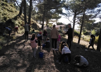 Escolares alteanos realizan labores de reforestación en el Pinar de Calces