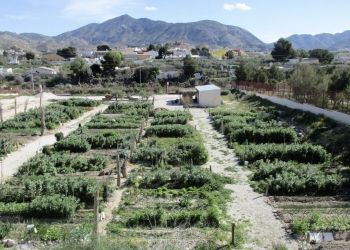 Elda abre el plazo para la solicitud de las 37 parcelas de los Huertos Ecológicos