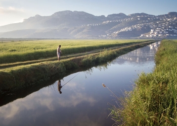 Tu plan del finde: El humedal mediterráneo del Parque Natural del Marjal de Pego-Oliva