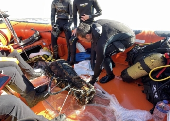 Santa Pola recupera un ánfora romana de 1.800 años de antigüedad del fondo de la bahía