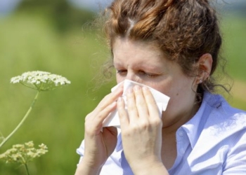 ¿Qué es la alergia y por qué la sufrimos?