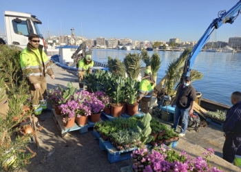 Alicante inicia la mejora paisajística de la isla de Tabarca