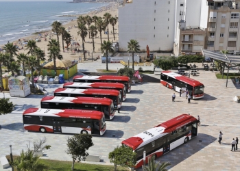 Torrevieja no ve conveniente la gestión directa del transporte urbano