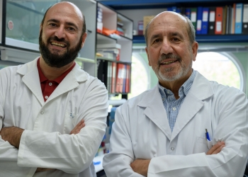 La vacuna contra la covid-19 del CNB-CSIC completa satisfactoriamente los ensayos preclínicos