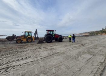 Orihuela inicia la retirada de Posidonia y limpieza de las playas tras el temporal