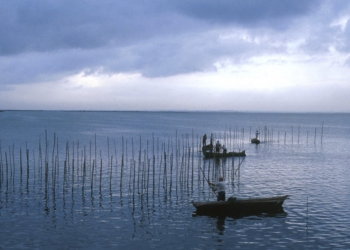Acuérdo histórico para garantizar el caudal ecológico invernal de la Albufera