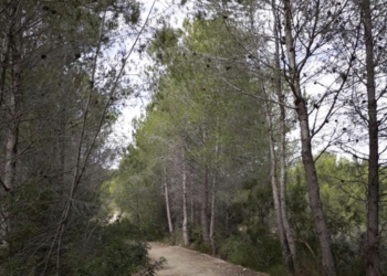 Paterna organiza Rutas turísticas pascueras por las trincheras de La Vallesa y el entorno de la Torre y Parc Central