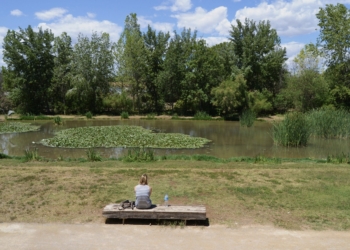 Valencia celebrará con diversas actividades el 20 aniversario del Parque de la Rambleta