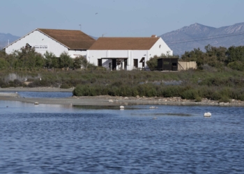 La esencia de la vida