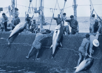 «Es importante mantener las tradiciones de un pueblo y estoy orgulloso de hacerlo»