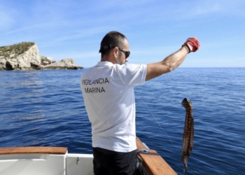 La pesca ilegal amenaza seriamente las aguas del Parc Natural de la Serra Gelada