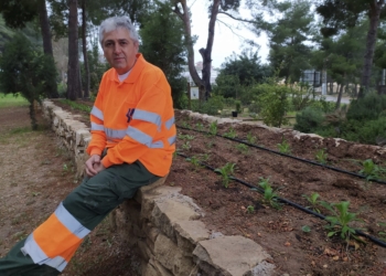 «La Silene de Ifach se da por extinta y trabajamos para recuperarla»