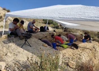 Descubren un hábitat neandertal al aire libre de más de 120.000 años en Aspe