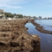 Santa Pola solicitar una excepción a Generalitat para poder retirar las algas de las playas