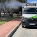 Elche intensifica la campaña de fumigación para controlar las plagas de mosquitos en el término municipal tras las últimas lluvias
