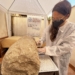 El Museo de Petrer inicia los trabajos de limpieza de la columna del siglo IV d.C. hallada en la excavación de la plaça de Baix