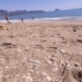 La playa del Racó de l’Albir se transforma al perder sus cantos rodados