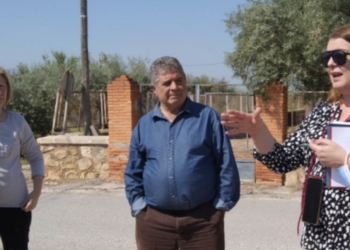 crevillente quejas whatsapp