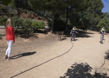 desinfección la nucia